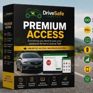 DriveSafe Premium Access